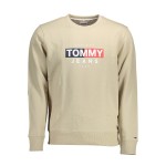 Tommy Hilfiger DM0DM14341-ACM sweatshirt Entry Flag men beige